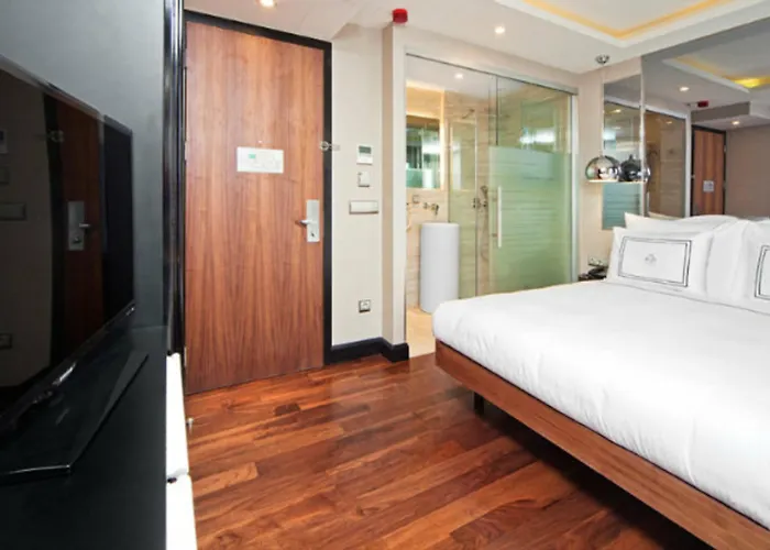 The Haze Karakoey Hotell Istanbul